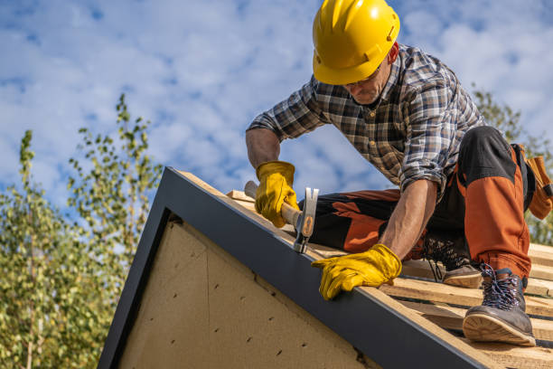 Best Roof Moss and Algae Removal  in Rock Hill, NY